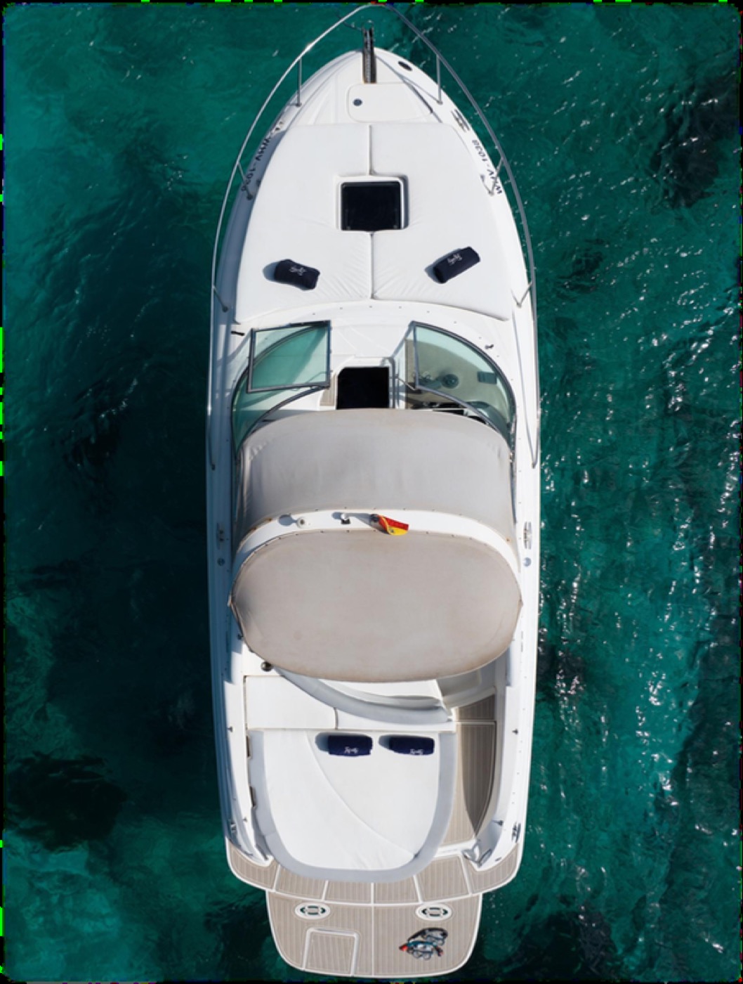 Sea Ray 295 Infinity, foto 3